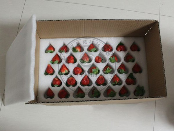 西安草莓冷链运输EPE珍珠棉礼盒托盘内衬-生鲜防摔包装实拍